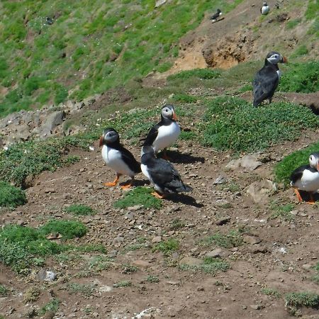 Morawel Panzió Fishguard Kültér fotó